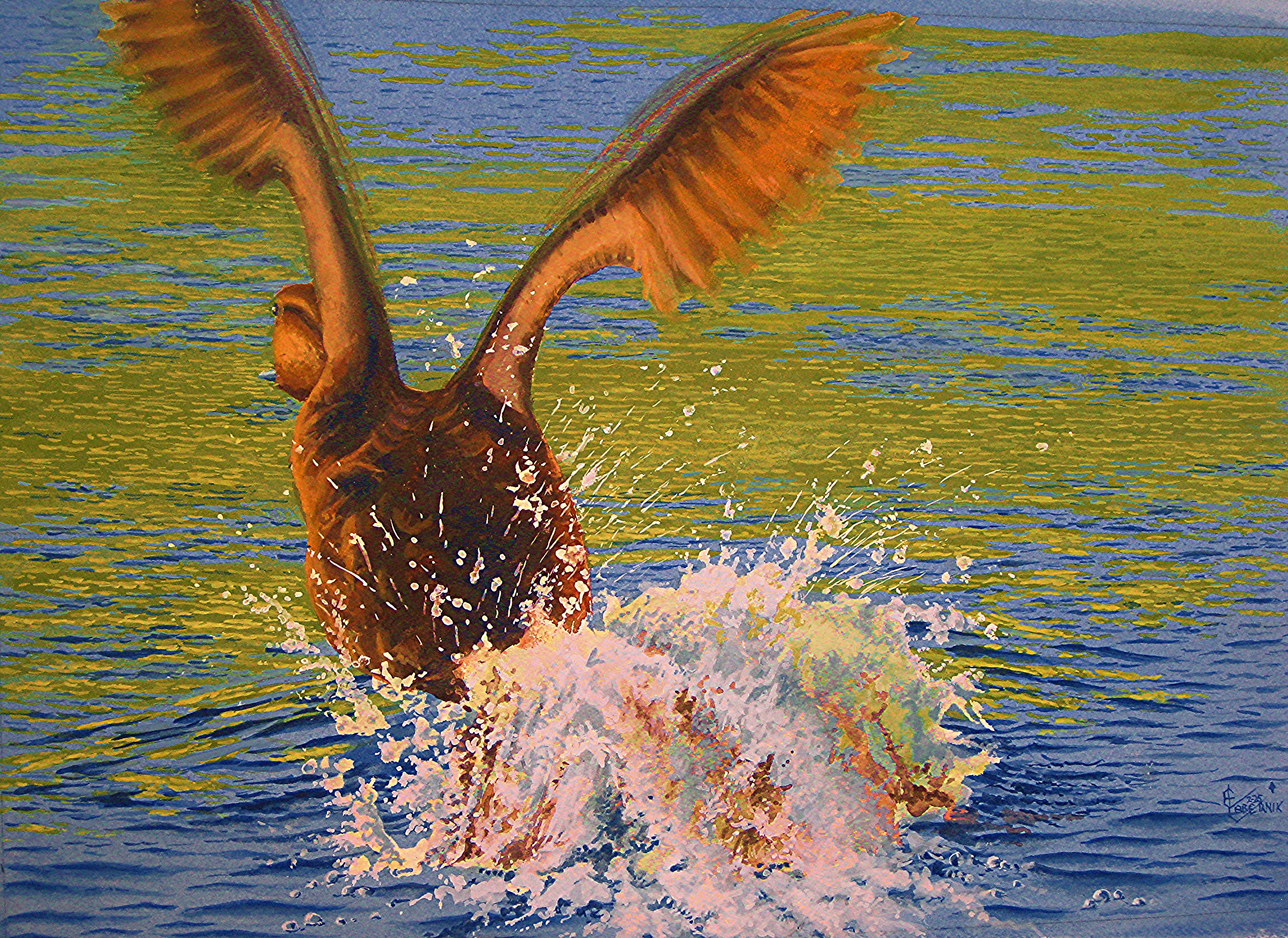 The Decoy